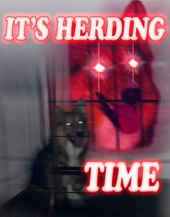 IT'S HERDING TIME
