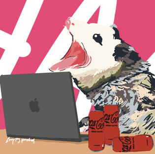 Opossum